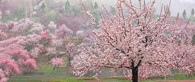 Islamic Ethics in Modern World